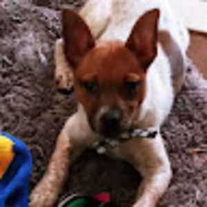 Meet your Posher, Alexandra